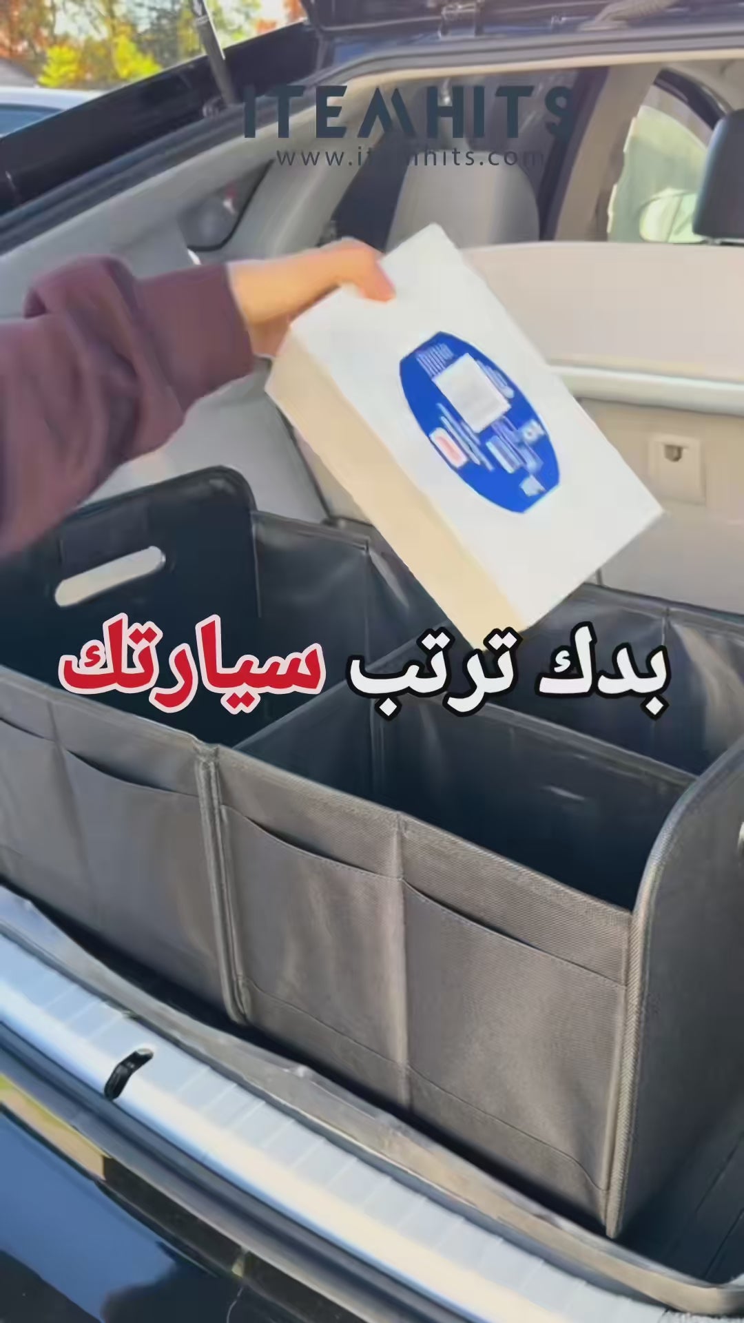 Car Trunk Organizer